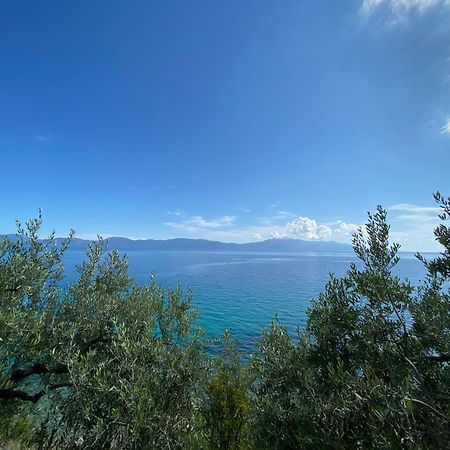 Apartments Ante Podaca Dış mekan fotoğraf