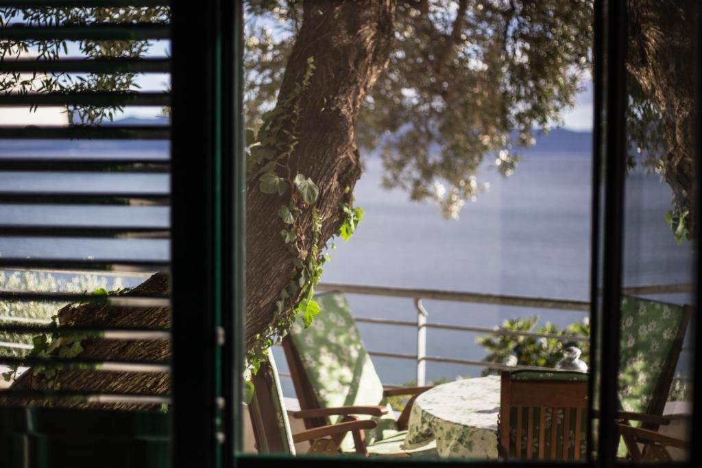 Apartments Ante Podaca Dış mekan fotoğraf